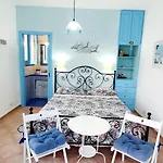 Petrara فيلة *